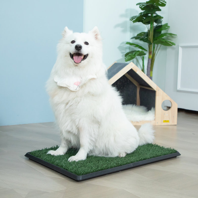 Dog tinkle turf best sale